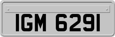IGM6291