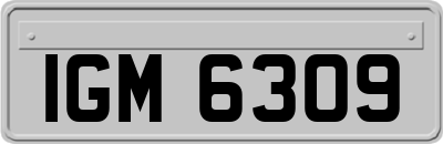 IGM6309