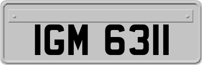 IGM6311