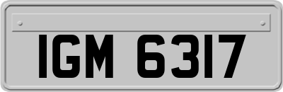 IGM6317