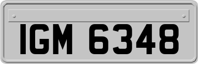 IGM6348