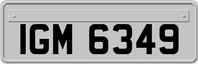 IGM6349