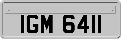 IGM6411