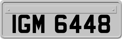 IGM6448