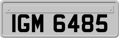 IGM6485