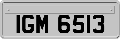 IGM6513