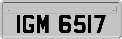 IGM6517
