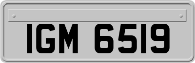 IGM6519