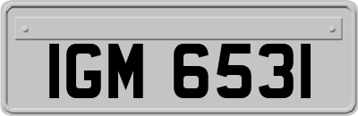 IGM6531