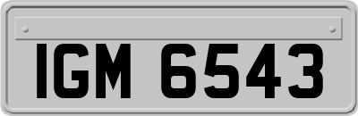 IGM6543