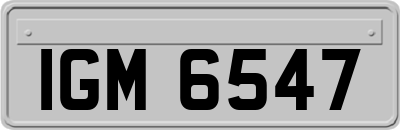 IGM6547