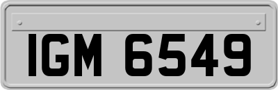 IGM6549