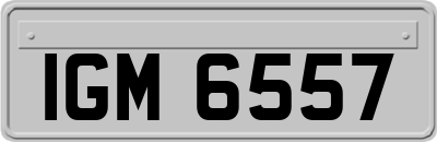 IGM6557