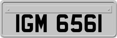 IGM6561