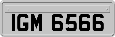 IGM6566