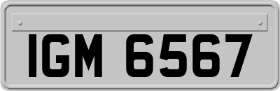 IGM6567