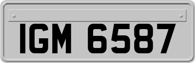 IGM6587
