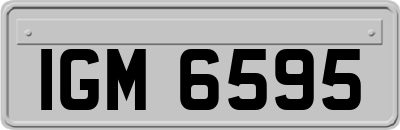 IGM6595