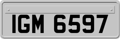 IGM6597