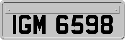 IGM6598