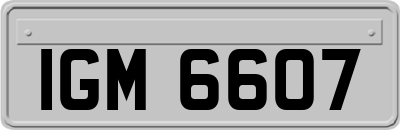 IGM6607