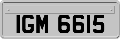 IGM6615