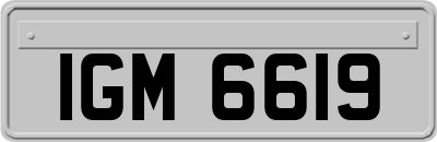 IGM6619