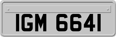 IGM6641