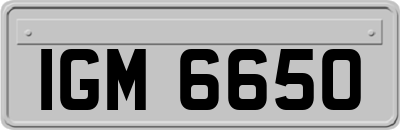 IGM6650
