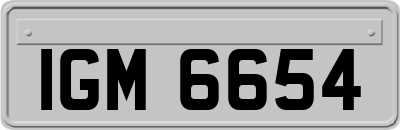 IGM6654