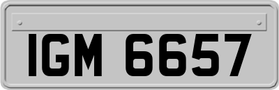 IGM6657