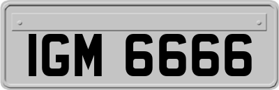 IGM6666
