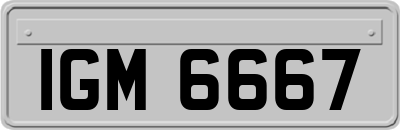 IGM6667