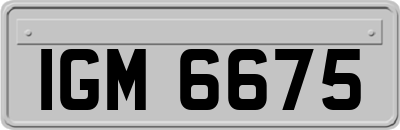 IGM6675