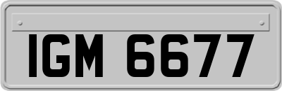 IGM6677