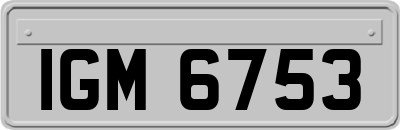 IGM6753