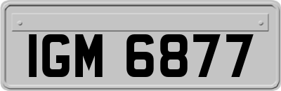 IGM6877