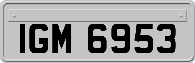 IGM6953