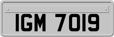IGM7019