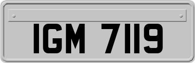 IGM7119