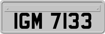 IGM7133
