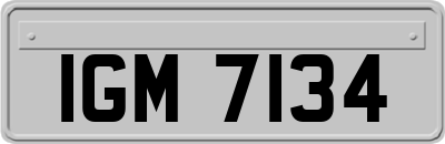 IGM7134