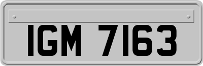 IGM7163