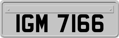 IGM7166