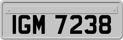 IGM7238