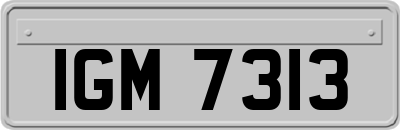 IGM7313