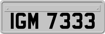 IGM7333