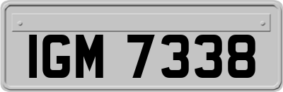 IGM7338