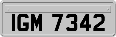IGM7342