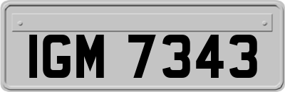 IGM7343